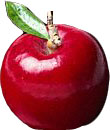 Classic Red Apple