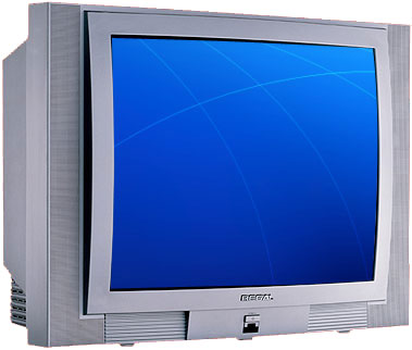 Televizyon