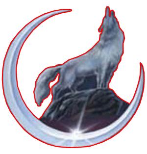 Bozkurt - 3-