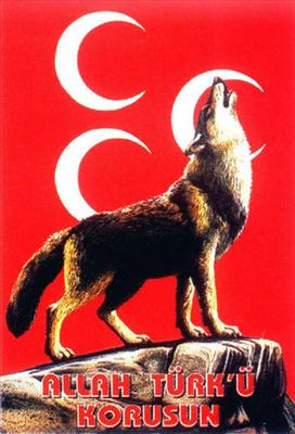 Bozkurt -4-