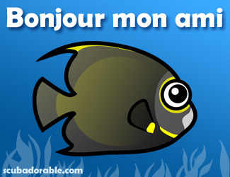 BONJOUR