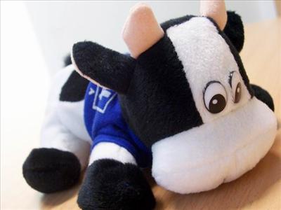 Cow