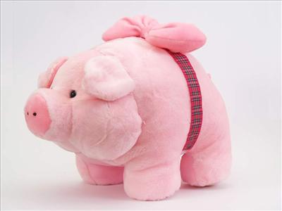 Pig