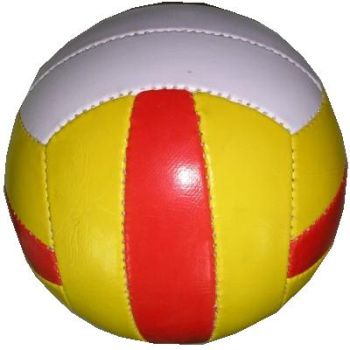 Voleybol Topu