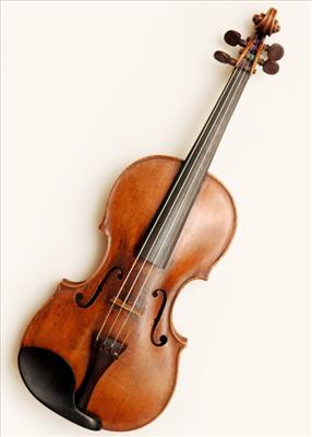 Violin