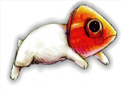 Fishbunny