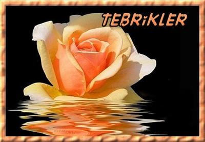 Tebrik Ederim