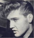 Elvis