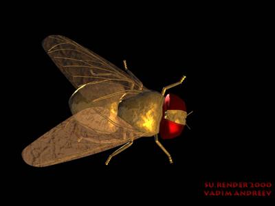 mosquitoe