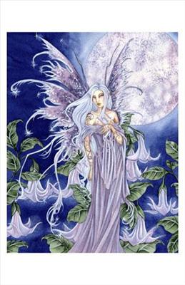 Night Blossom