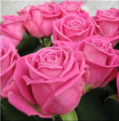 Flower1