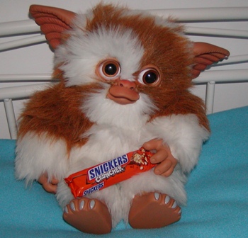 Çukulata Gizmo