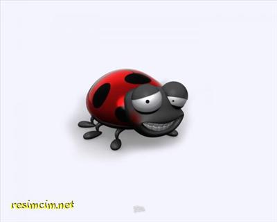 uğur böcüğü