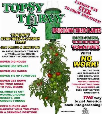 Topsy Turvy