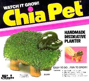 Chias
