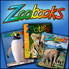 Zoo Books