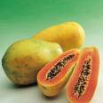Papaya Khilipton