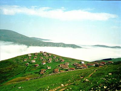 yayla