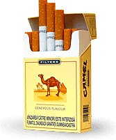 Camel