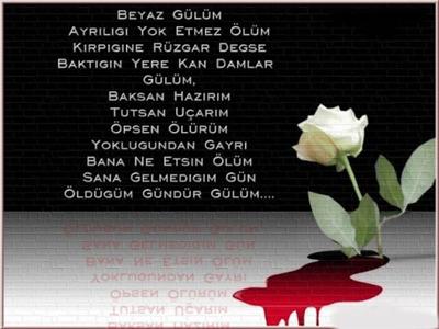qüLm