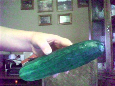 Cutcumber