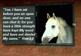 inspiration