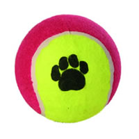 Tennis Ball