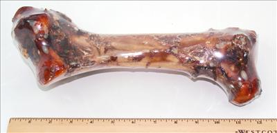 Big Bone
