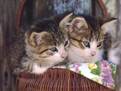 best  friends <3