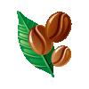 Real Beans