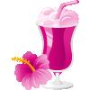 Hibiscus Heaven