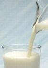 Milk