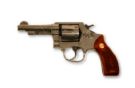 Gun