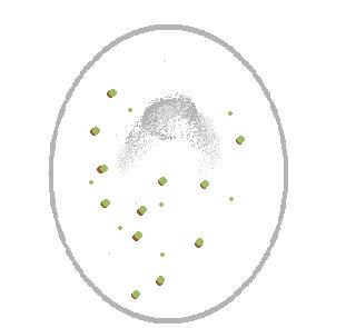 Green pebbles