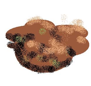 Boulder