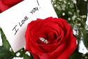 Love you rose