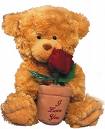Bear rose