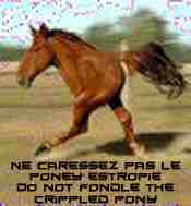 Crippled Horse