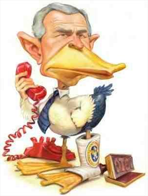 Schizoprenic Duck