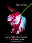 New Moon The Book