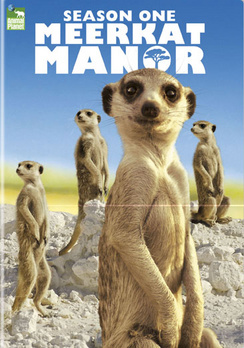 Meerkat Manor Poster