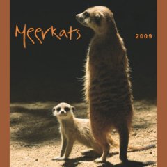Meerkat 2009 Calendar