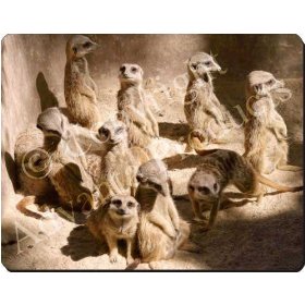Meerkats Mouse Mat