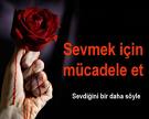 sevgi