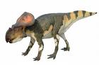 Protoceratops