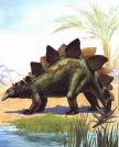 Stegosaurus