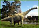 Brachiosaurus