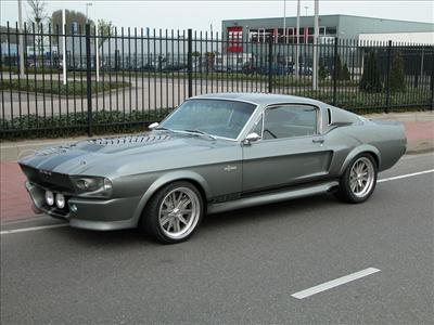 mustang shellby