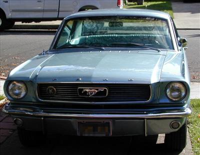 mustang