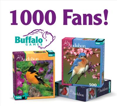 Audubon Birds